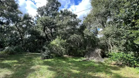 Residential Land in Winter Haven