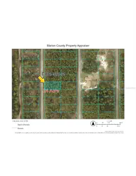 Land For Sale, Dunnellon, FL