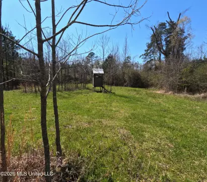 Hunting Land with Creek