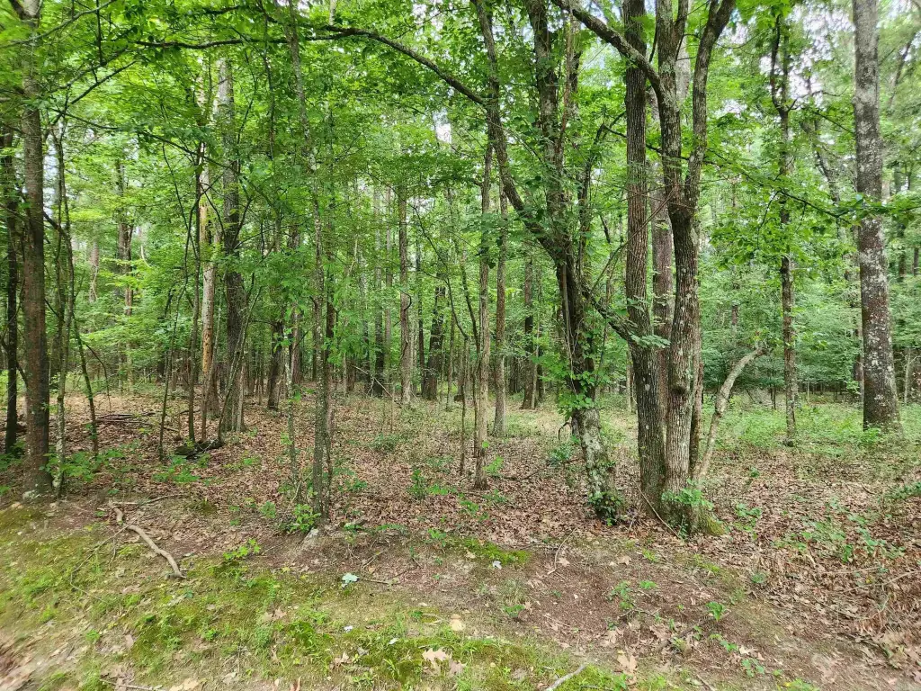 Picture 3