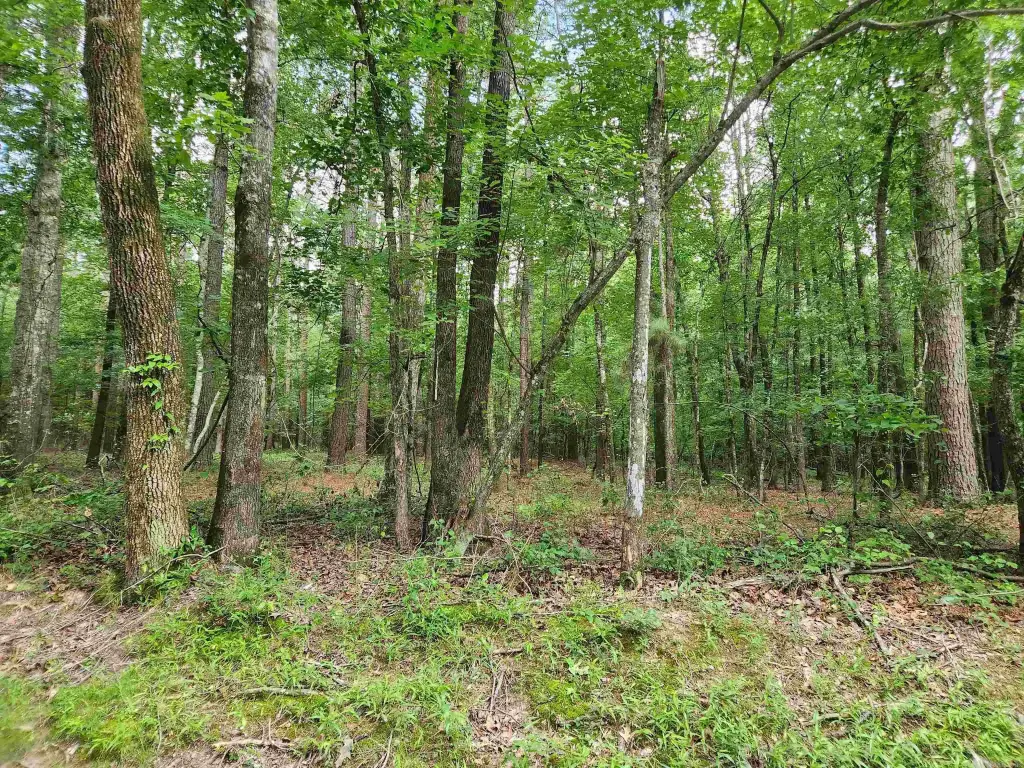 Picture 4