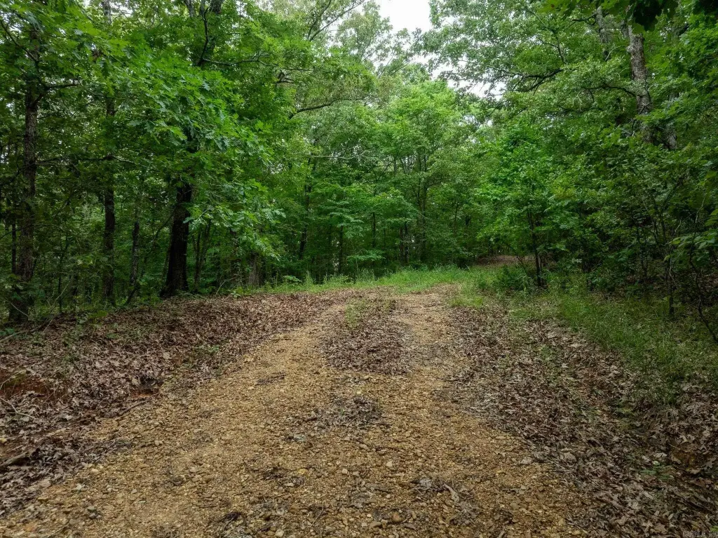 Picture 26