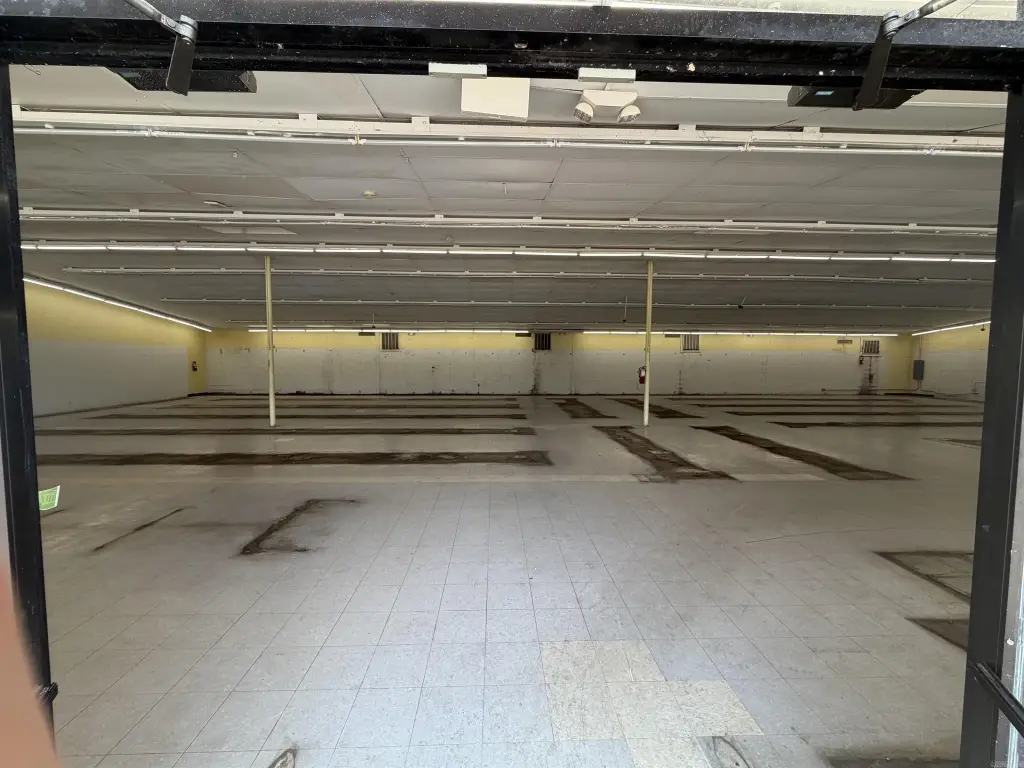 Picture 9