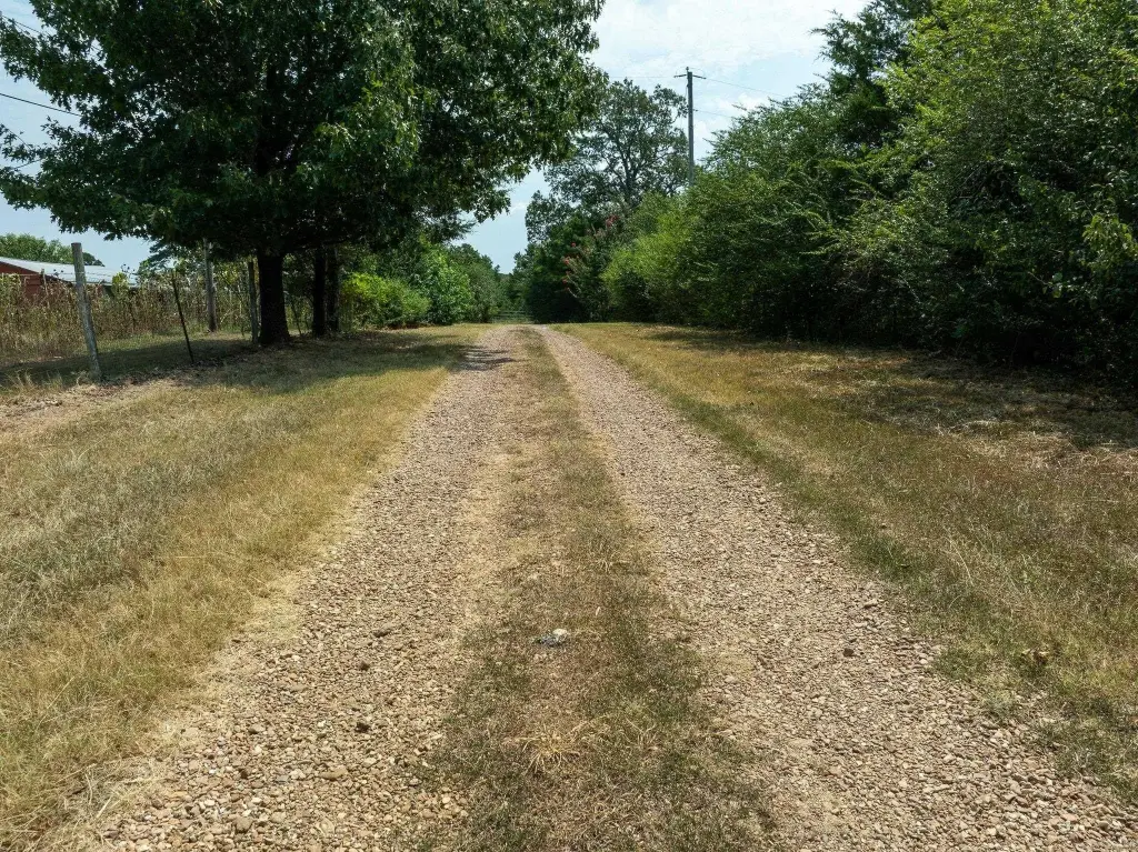 Picture 10