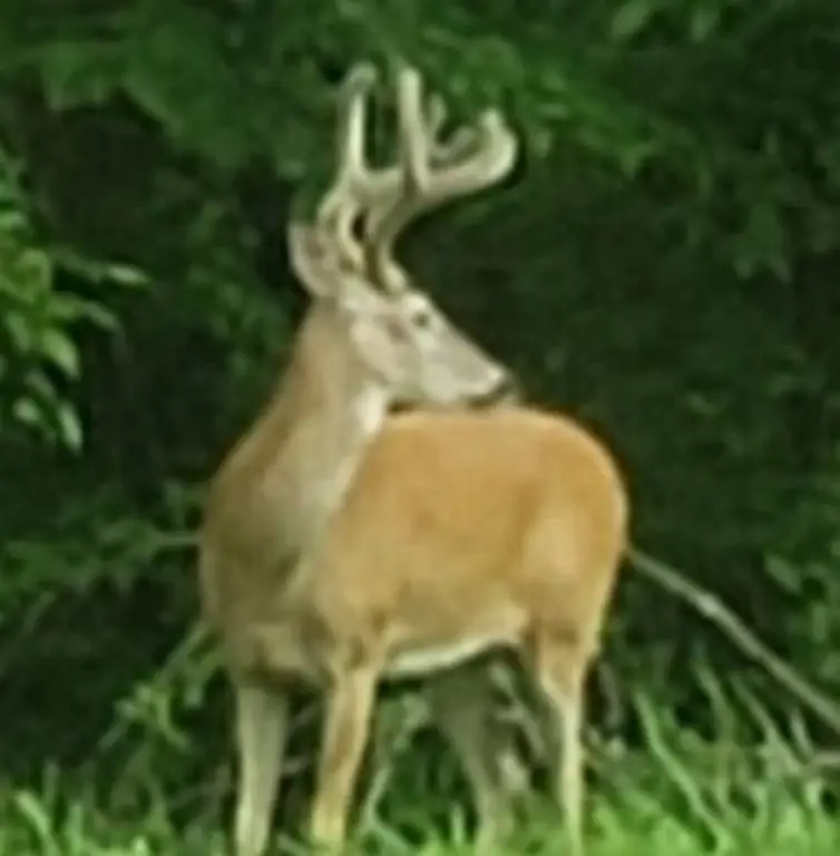Picture 14