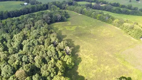 Unrestricted Hunting Land