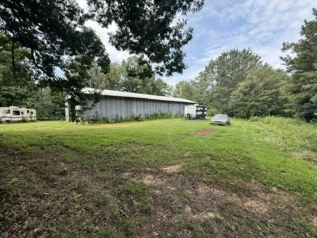 Picture 5