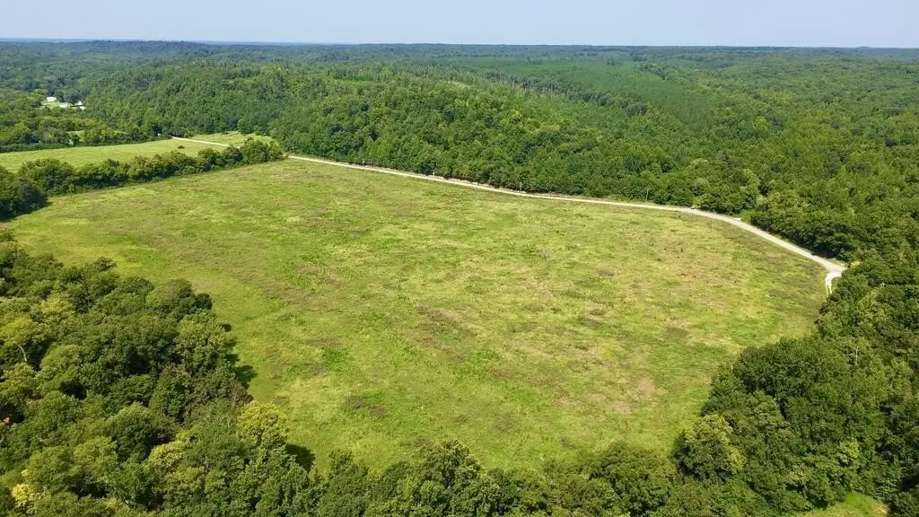 Picture 10