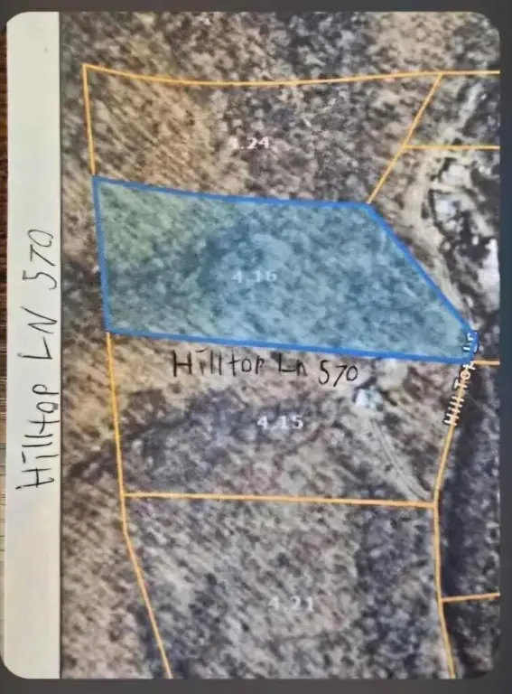 Picture 3