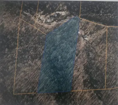 Vacant Hunting Land