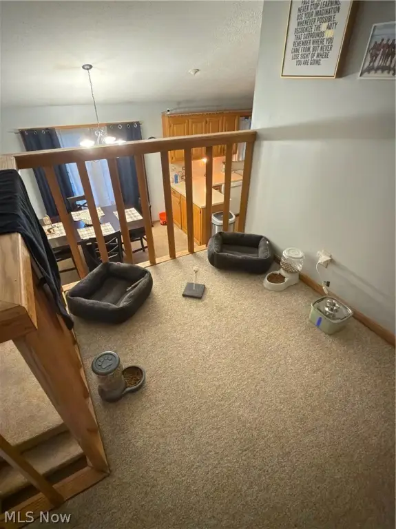 Picture 20