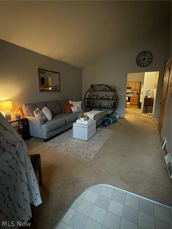 Picture 17
