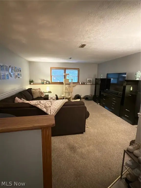 Picture 24