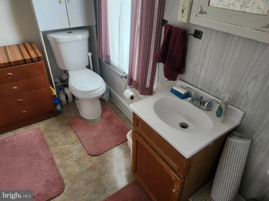 Picture 5