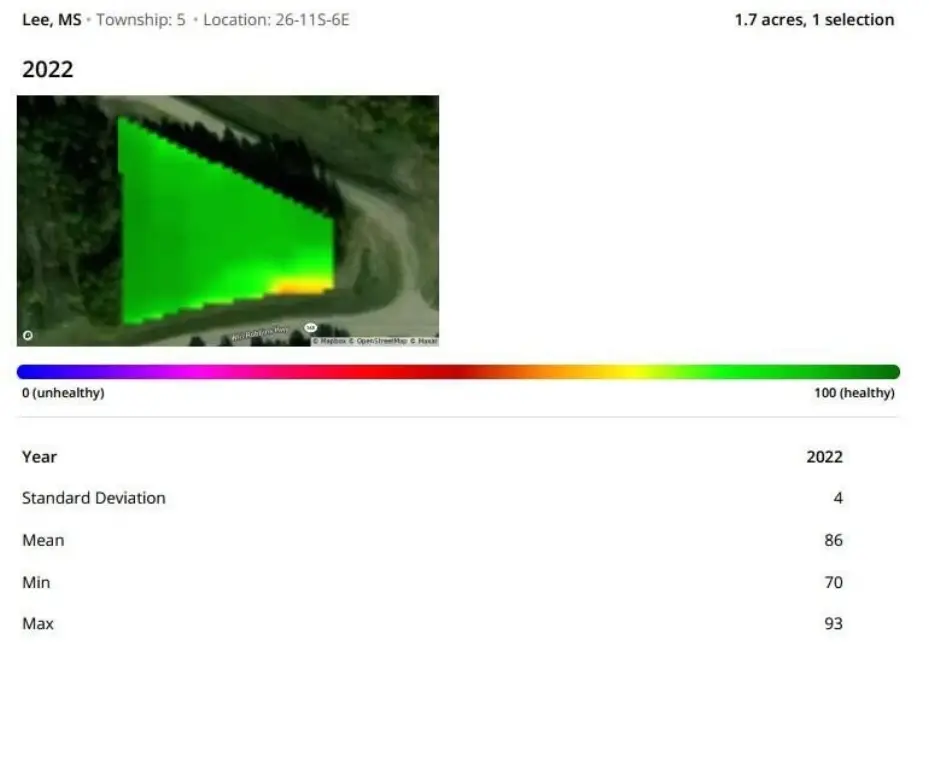 Picture 3
