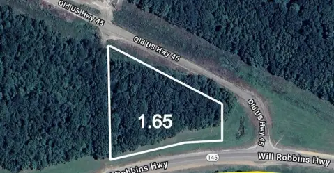 Commercial Land on Highway 145