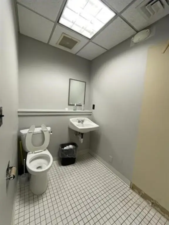 Picture 7