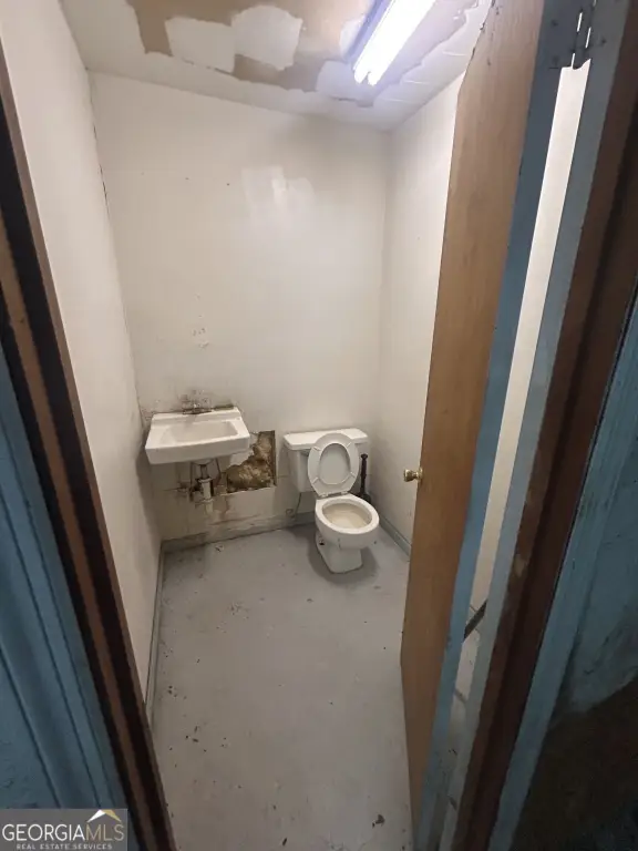 Picture 19