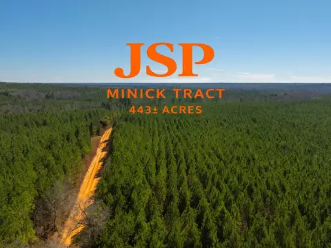 443 Acres Timber and Recreational Property