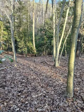 Vacant Land in Caret, VA