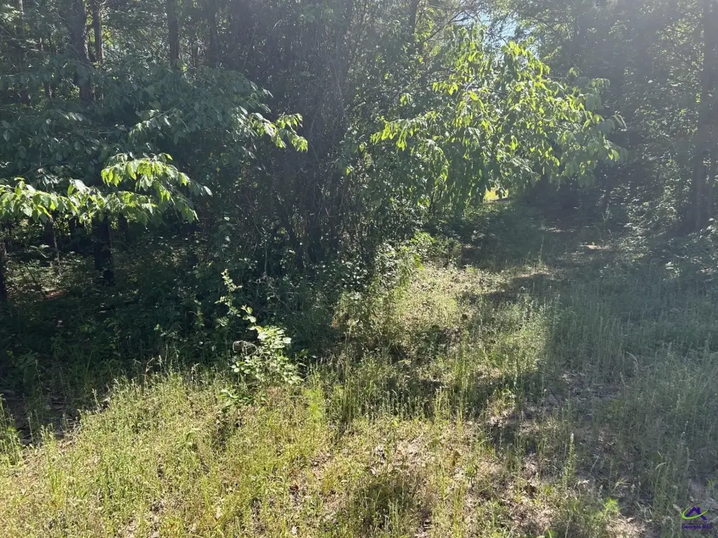 Picture 12