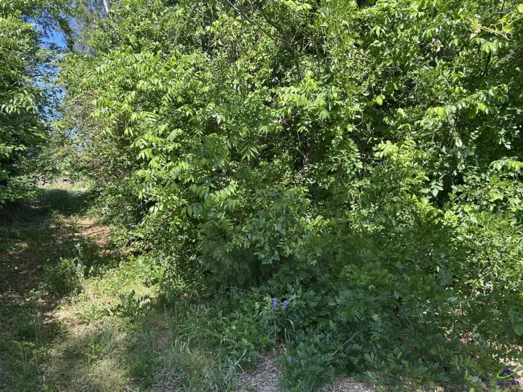 Picture 3