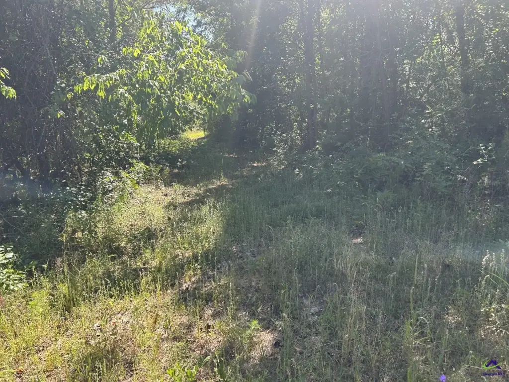 Picture 14