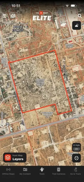 Picture 6