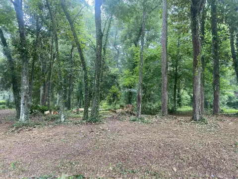 Residential Lot in Lake Yvette