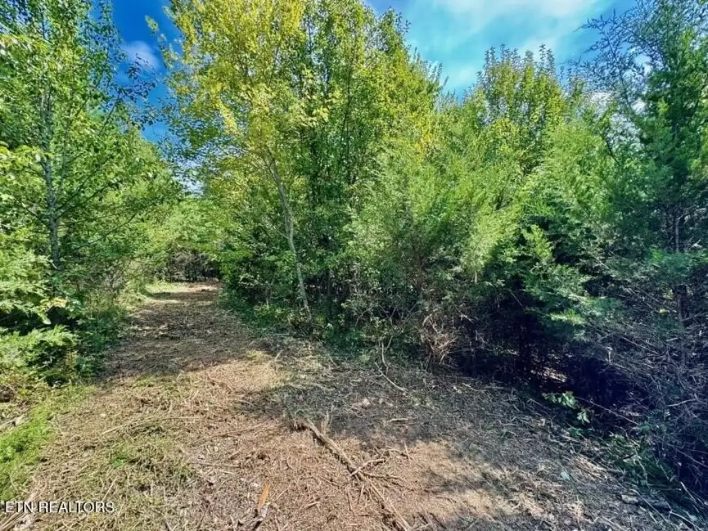 Picture 5