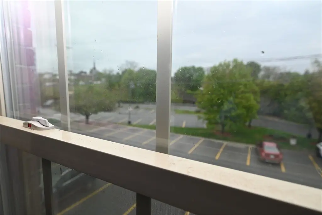 Picture 17