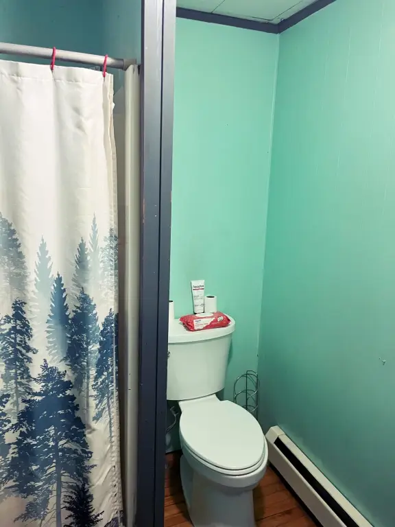 Picture 32