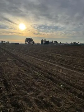 Selma, CA Agricultural Land