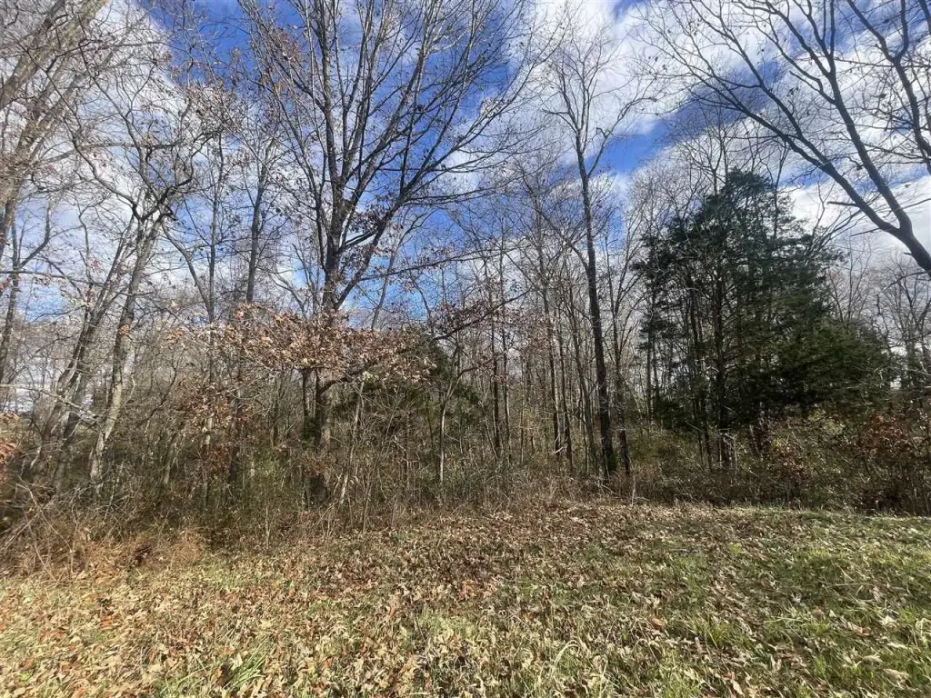 Picture 12