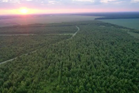 315-Acre Hunting Land Tract