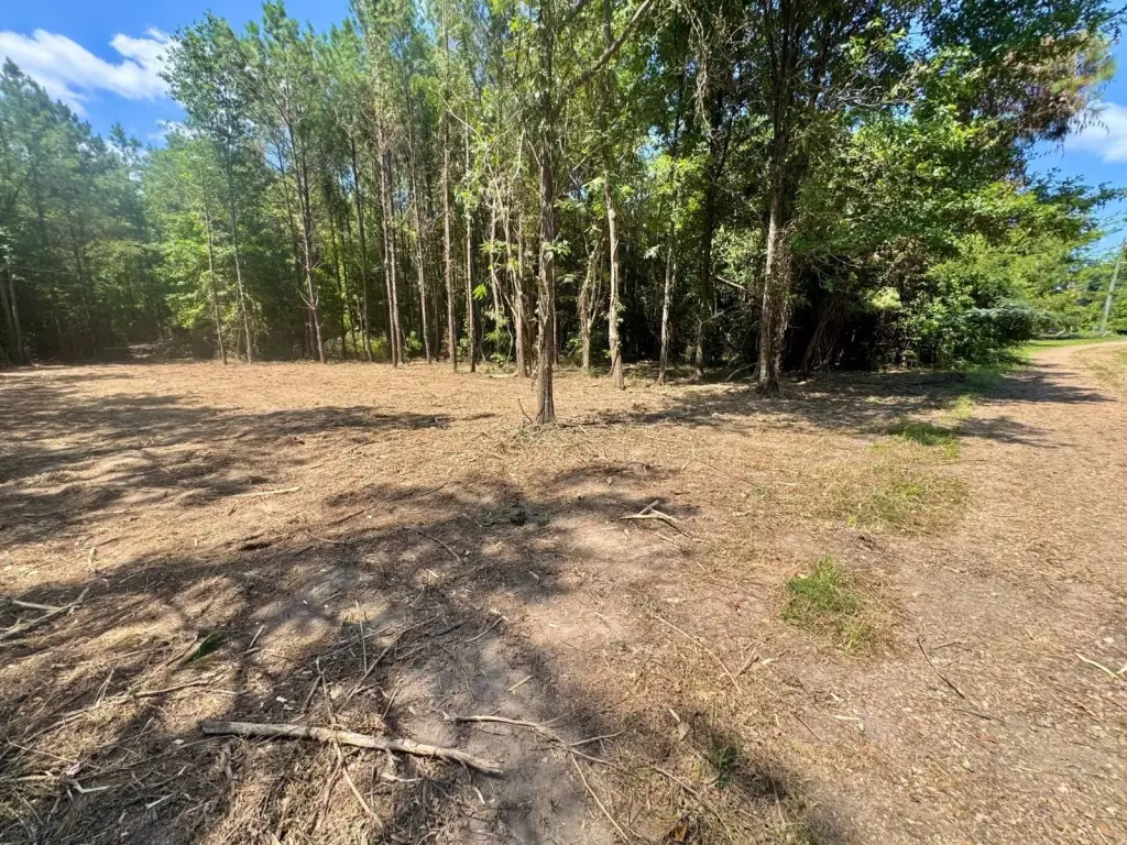 Picture 5