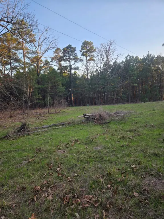 Picture 14