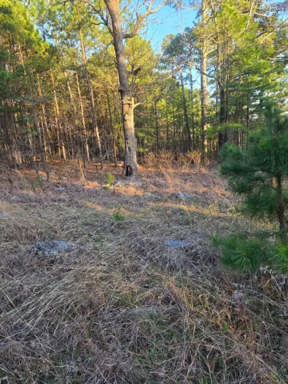 Picture 12