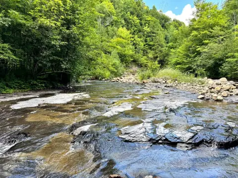 Wooded Creekfront Waterfront Land