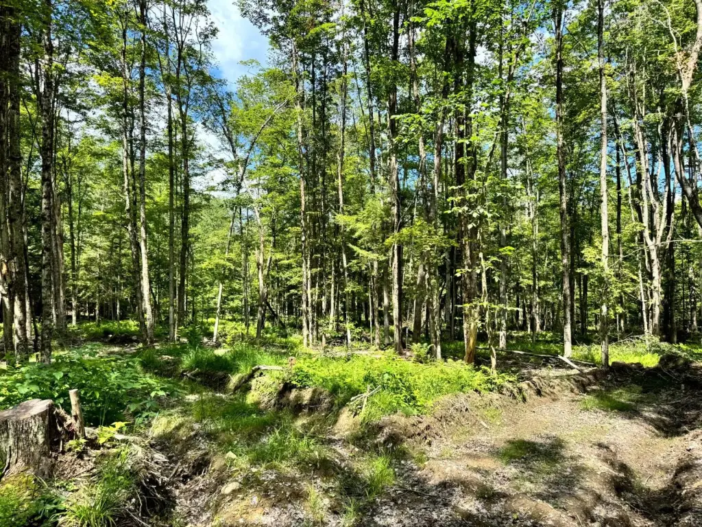 Picture 8