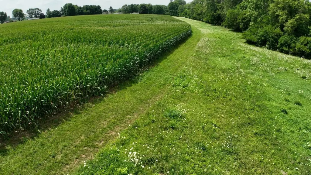 Picture 24