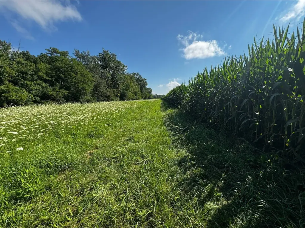 Picture 3