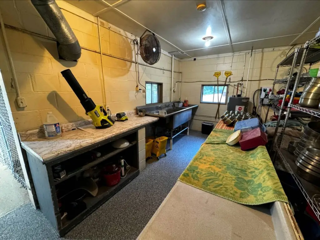 Picture 26