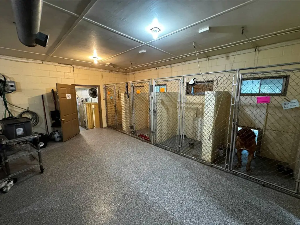 Picture 27