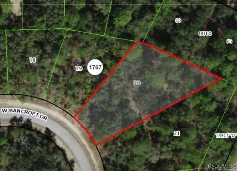 Residential Lot in Citrus Springs