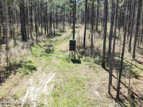 Timber and Hunting Land Tract
