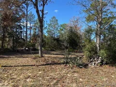 Cleared Homesite in Citrus Springs