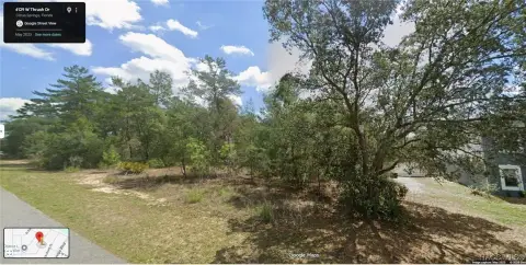 Citrus Springs Oversized Homesite