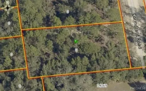 Secluded Land Parcel in Weeki