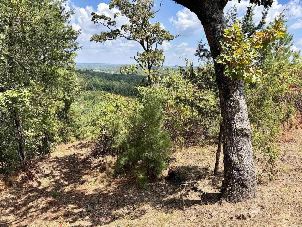 Picture 18